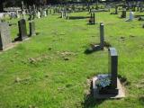 image of grave number 911784